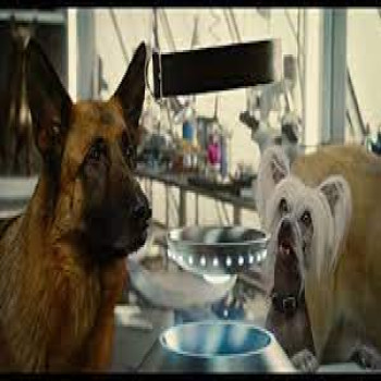 สงครามพยัคฆ์ร้ายขนปุย 2 : คิตตี้ กาลอร์ ล้างแค้น Cats & Dogs: The Revenge of Kitty Galore