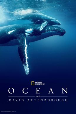 Ocean with David Attenborough (2025) บรรยายไทย